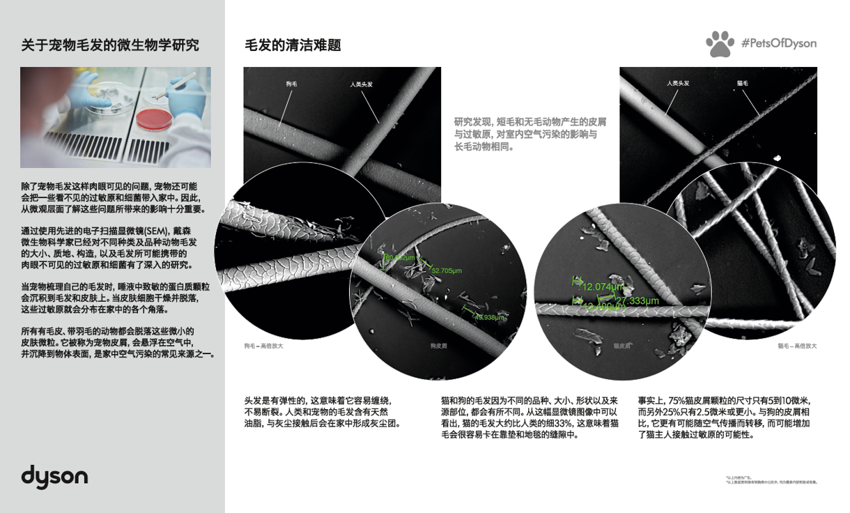 一毛不扫，何以扫整屋？