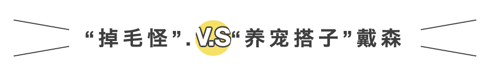 掉毛竟成遗弃猫咪一大主因？这题其实很好解……